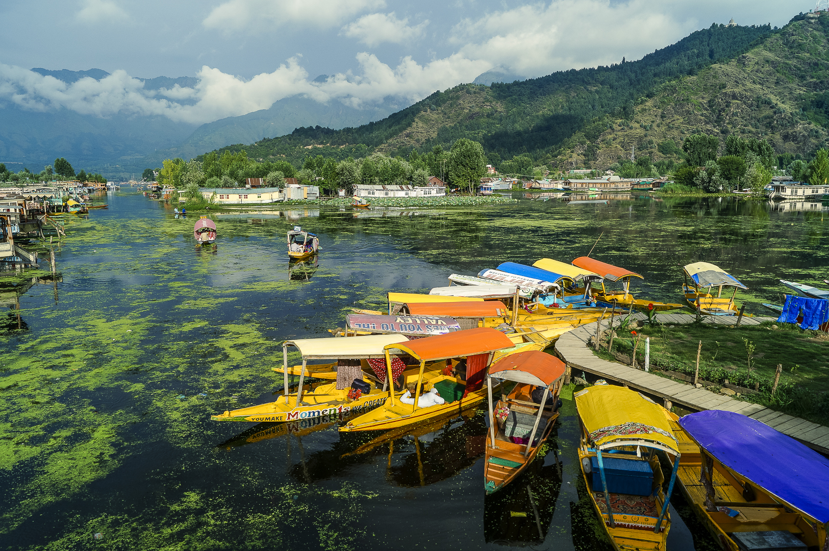 Evening light over Dal Lake, Srinagar — Firdous Tours guest stories
