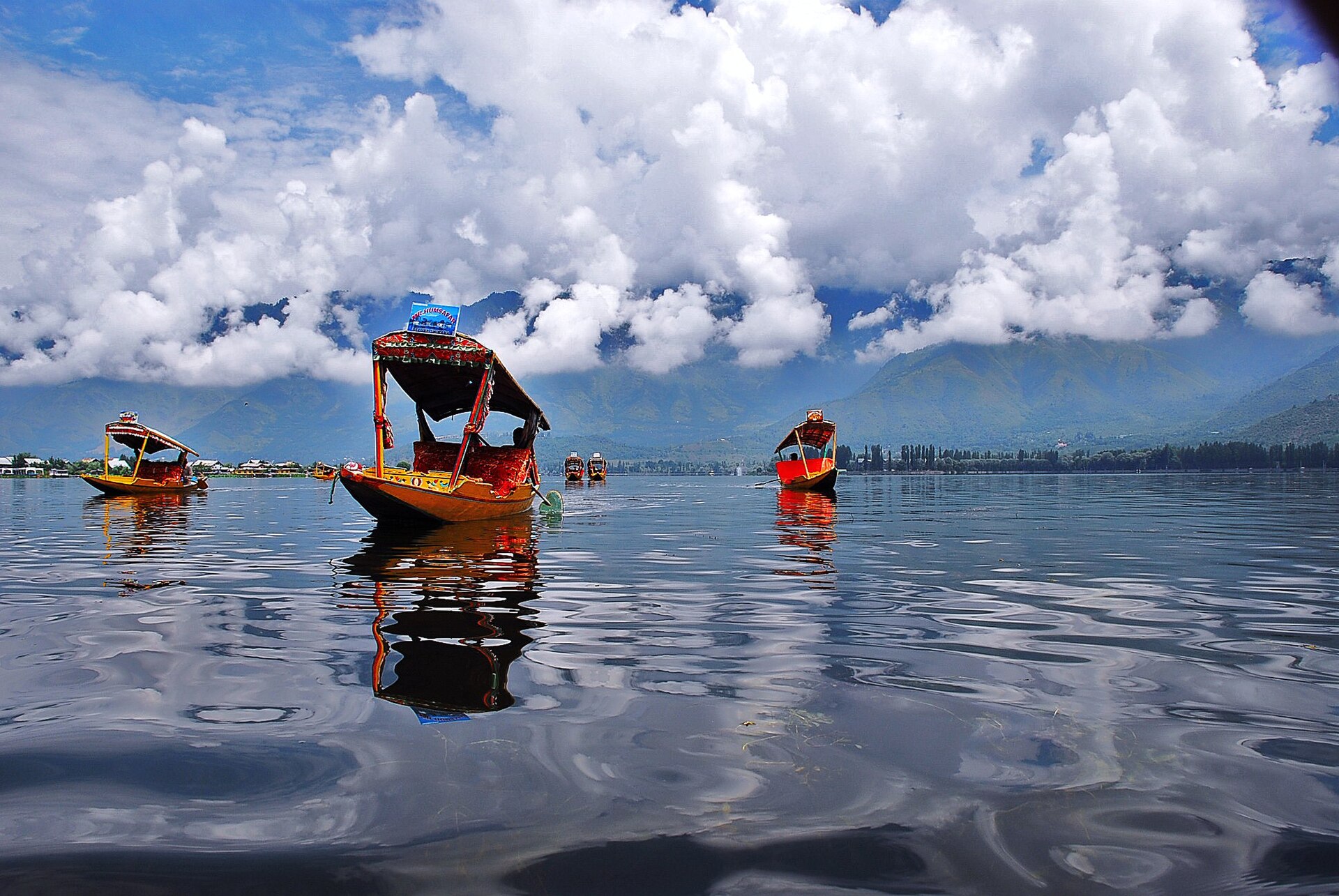 Shikara crossing Dal Lake at dawn, Srinagar — the Firdous FAQ's