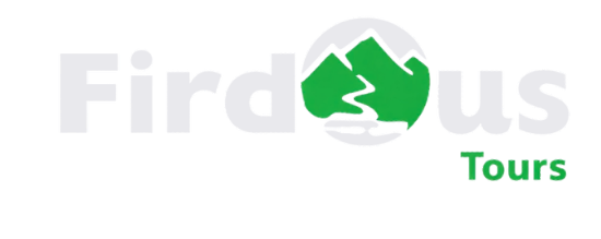 Firdous Tours & Travels logo