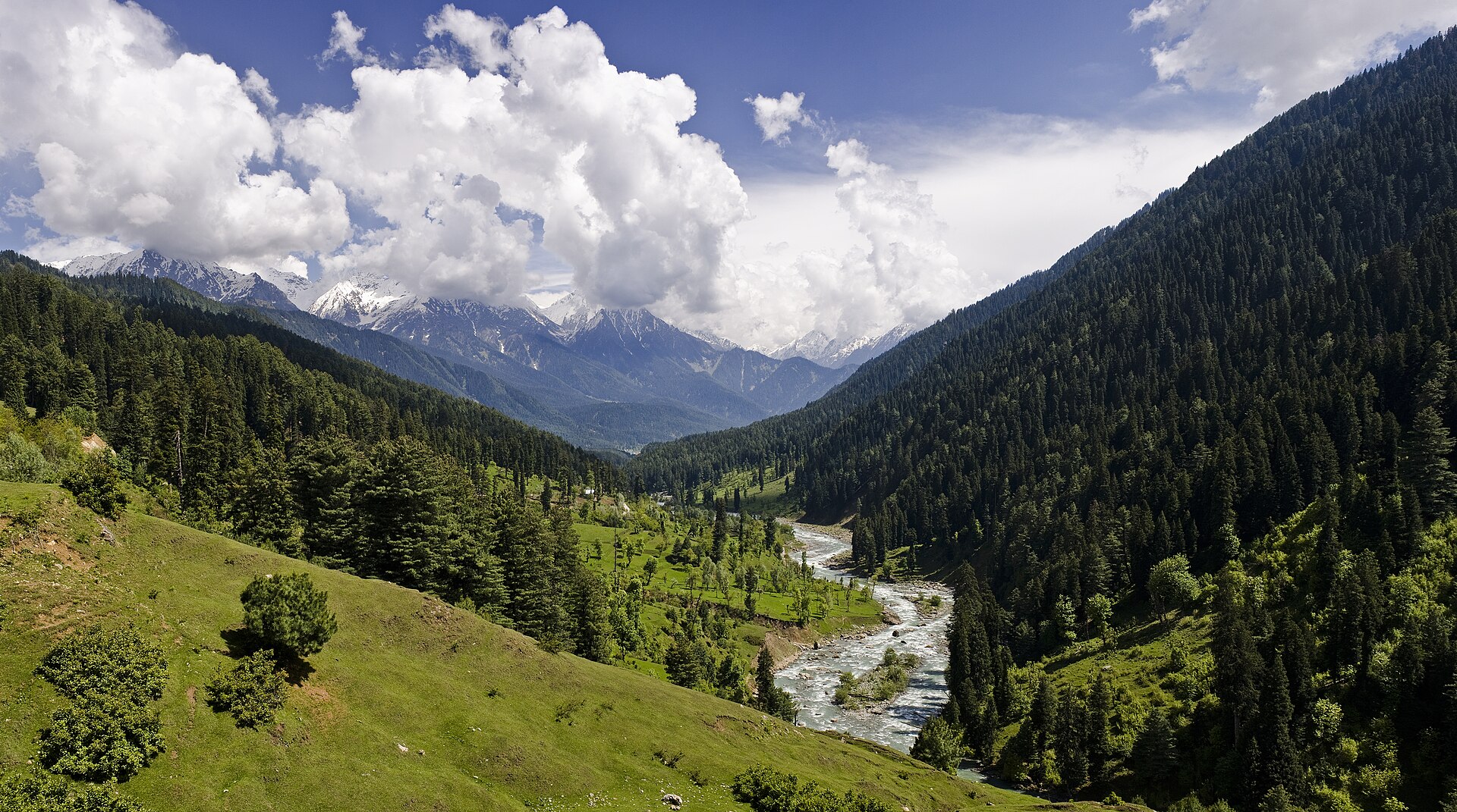 Lidder valley at Pahalgam ringed by pine forest, Kashmir Valley tours